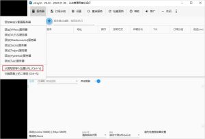 v2rayn自定义路由规则说明